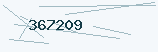 Six digit security code